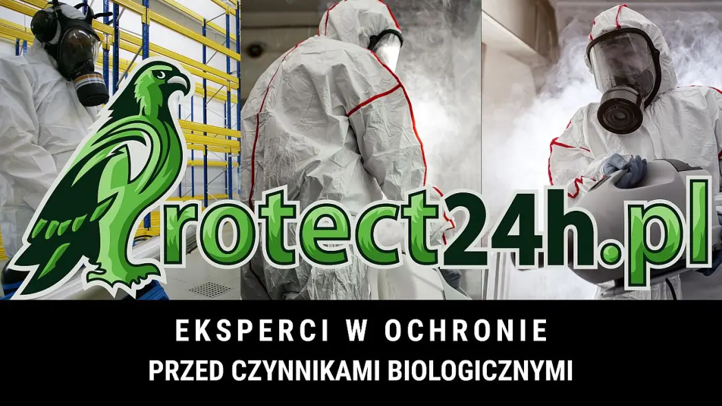 Jak przygotować hotel na przybycie gości, czyli jak firma DDD zadba o brak szkodników
