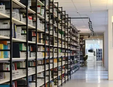 Majków dostał bajkę z morałem - dzieci oglądały „Kaliski Żabi Król”
