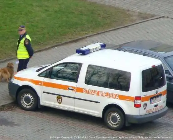 Straż Miejska Kalisza ostrzega rodziców - internetowe pułapki dla najmłodszych