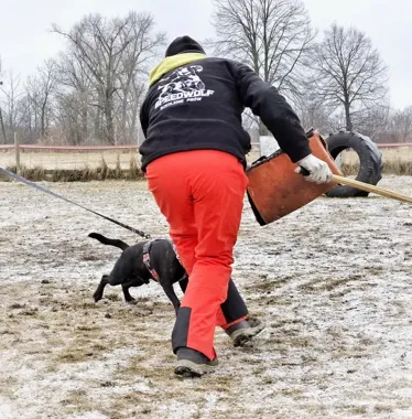 Grafika promocyjna wydarzenia Egzaminy BH, IGP, PT, IBGH w Kaliszu — termin i szczegóły