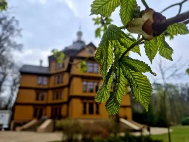 Młode fortepiany rozgrzały Antonin - Chopin znów zebrał tłumy