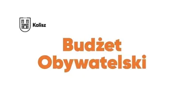 Mieszkańcy wybrali 78 projektów dla Kalisza. Są zadania zielone i lokalne