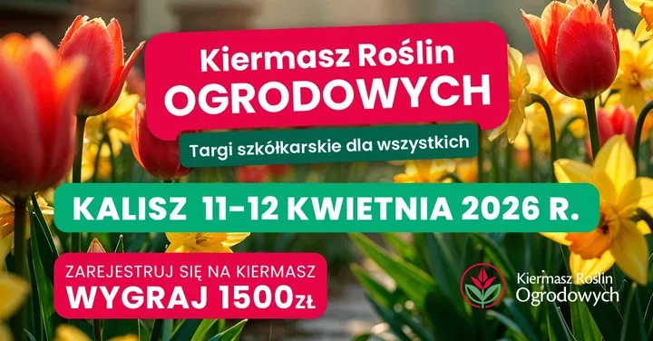 Wiosenny kiermasz roślin w Kaliszu przyciągnie ogrodników, balkonowiczów i całe rodziny
