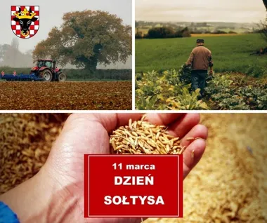 Władze powiatu dziękują sołtysom – uznanie za codzienną pracę w małych ojczyznach